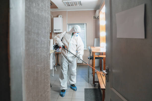 Best Mold Remediation for Healthcare Facilities  in Tilden, NE