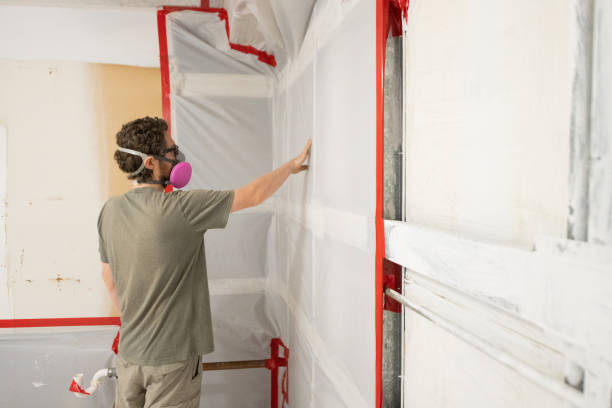 Best Residential Mold Inspection & Testing  in Tilden, NE