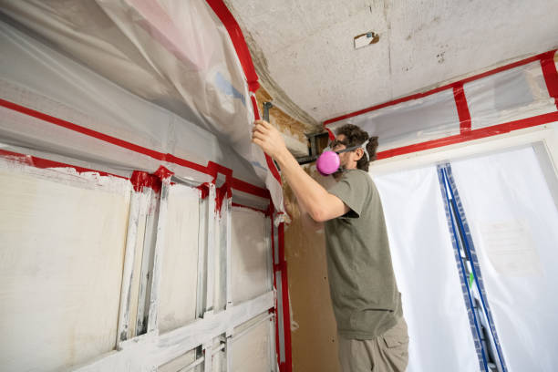 Best Mold Documentation for Insurance Claims  in Tilden, NE