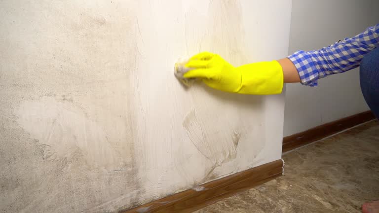 Best Mold Documentation for Insurance Claims  in Tilden, NE