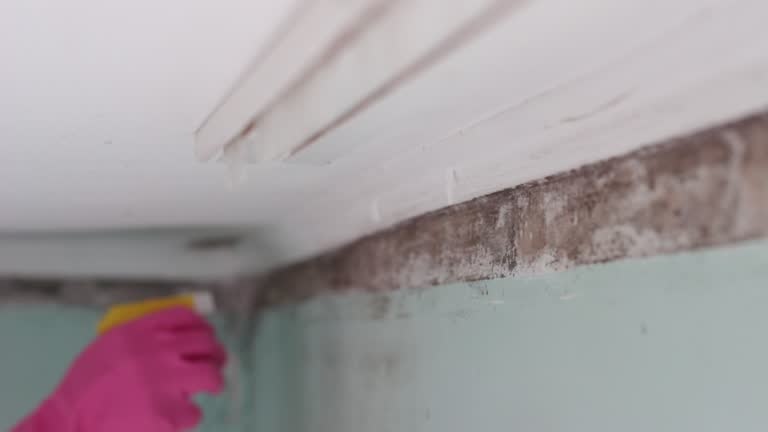 Best Air Quality Testing for Mold Spores  in Tilden, NE