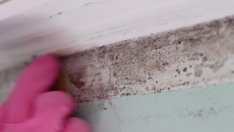 Best Mold-Related Health Consultation  in Tilden, NE